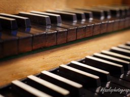 Orgue
